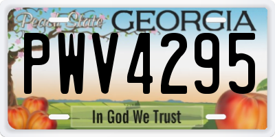 GA license plate PWV4295