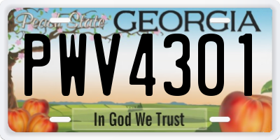 GA license plate PWV4301
