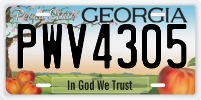GA license plate PWV4305
