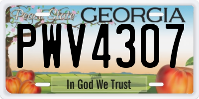 GA license plate PWV4307