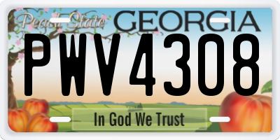 GA license plate PWV4308