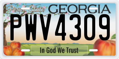 GA license plate PWV4309