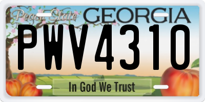 GA license plate PWV4310