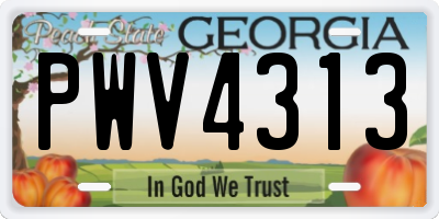 GA license plate PWV4313
