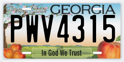 GA license plate PWV4315