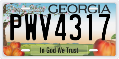 GA license plate PWV4317