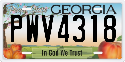 GA license plate PWV4318