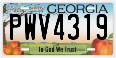 GA license plate PWV4319