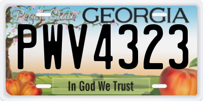 GA license plate PWV4323