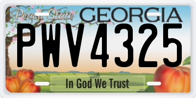 GA license plate PWV4325