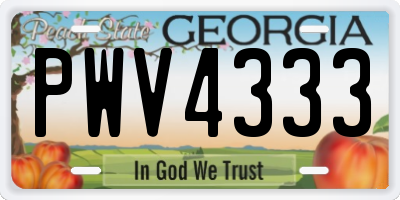 GA license plate PWV4333