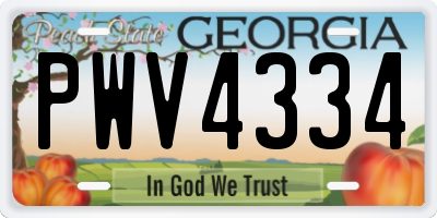 GA license plate PWV4334