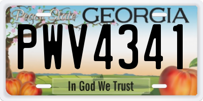 GA license plate PWV4341