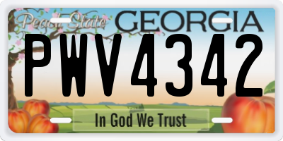 GA license plate PWV4342