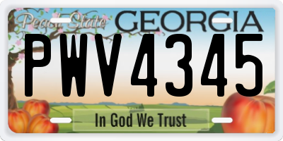 GA license plate PWV4345