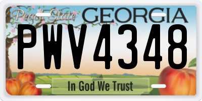 GA license plate PWV4348