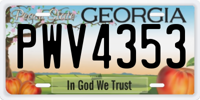 GA license plate PWV4353