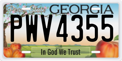 GA license plate PWV4355