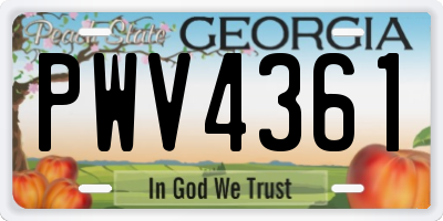 GA license plate PWV4361