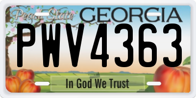 GA license plate PWV4363