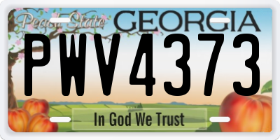 GA license plate PWV4373