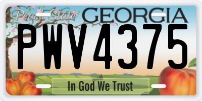 GA license plate PWV4375