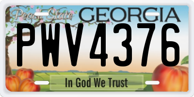 GA license plate PWV4376