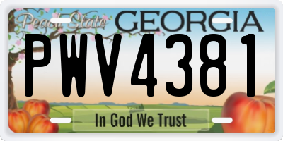 GA license plate PWV4381