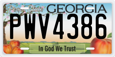 GA license plate PWV4386