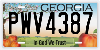 GA license plate PWV4387