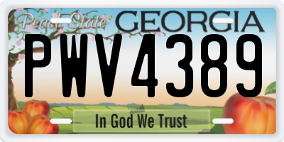 GA license plate PWV4389