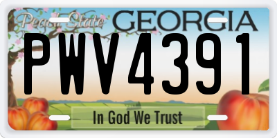 GA license plate PWV4391