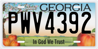 GA license plate PWV4392