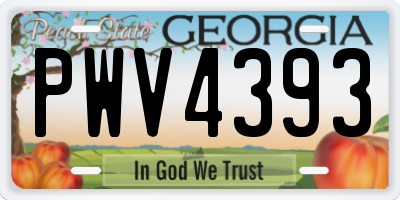 GA license plate PWV4393