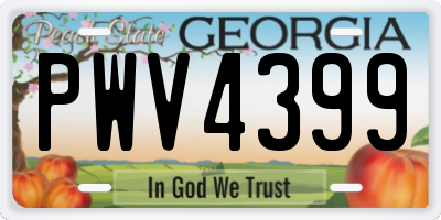 GA license plate PWV4399