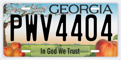 GA license plate PWV4404