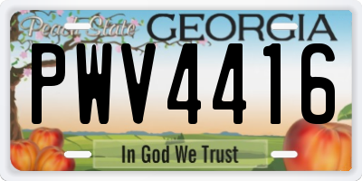 GA license plate PWV4416