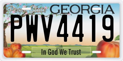 GA license plate PWV4419