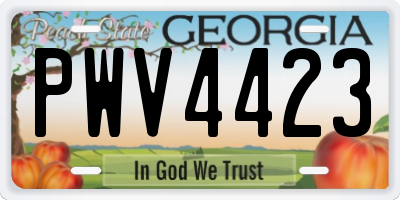 GA license plate PWV4423