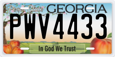 GA license plate PWV4433