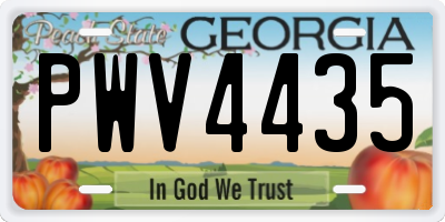 GA license plate PWV4435