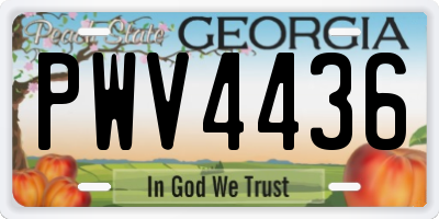 GA license plate PWV4436