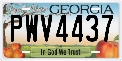 GA license plate PWV4437