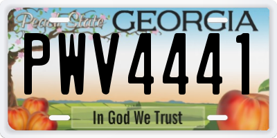 GA license plate PWV4441