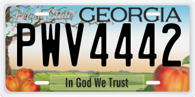 GA license plate PWV4442