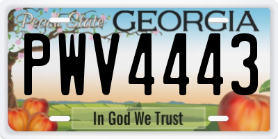 GA license plate PWV4443