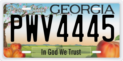 GA license plate PWV4445