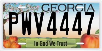 GA license plate PWV4447