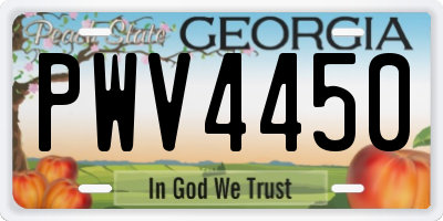 GA license plate PWV4450