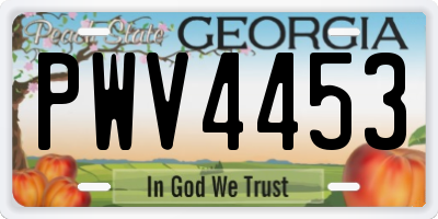 GA license plate PWV4453